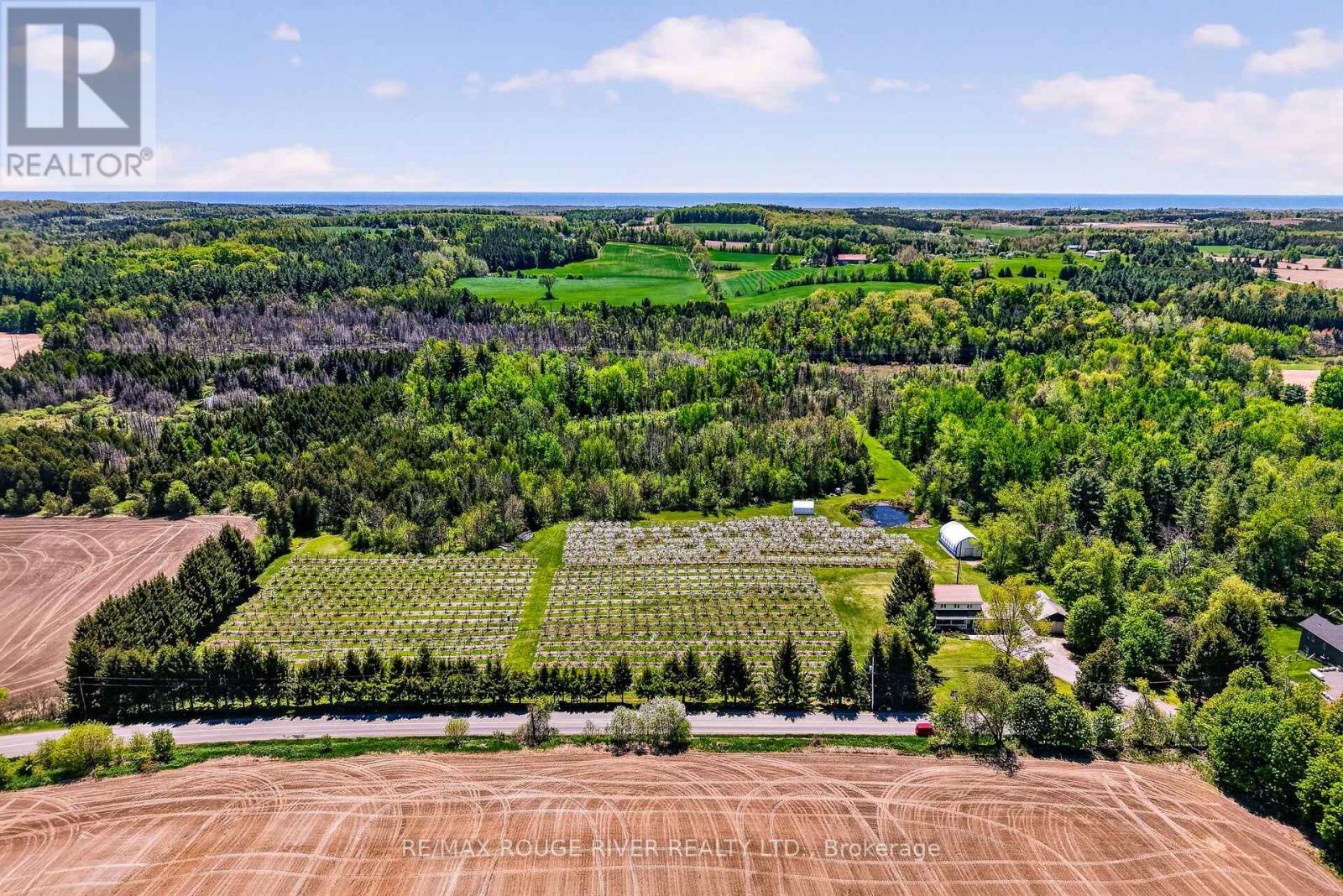 223 Turk Road, Alnwick/haldimand, Ontario  K0K 2G0 - Photo 44 - X13736394