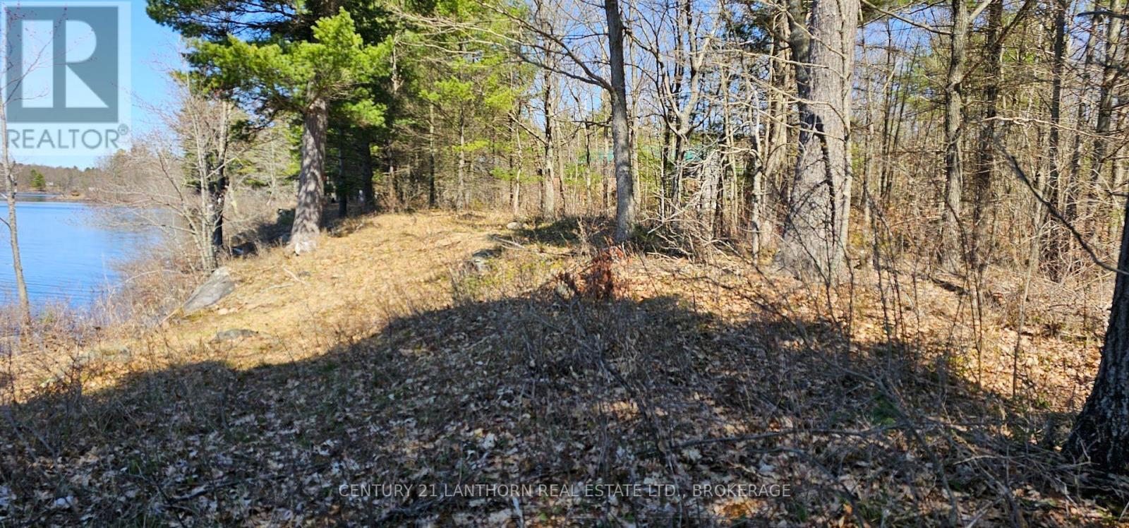 2 Gull Creek Road, Stone Mills, Ontario  K0K 3G0 - Photo 8 - X13728132
