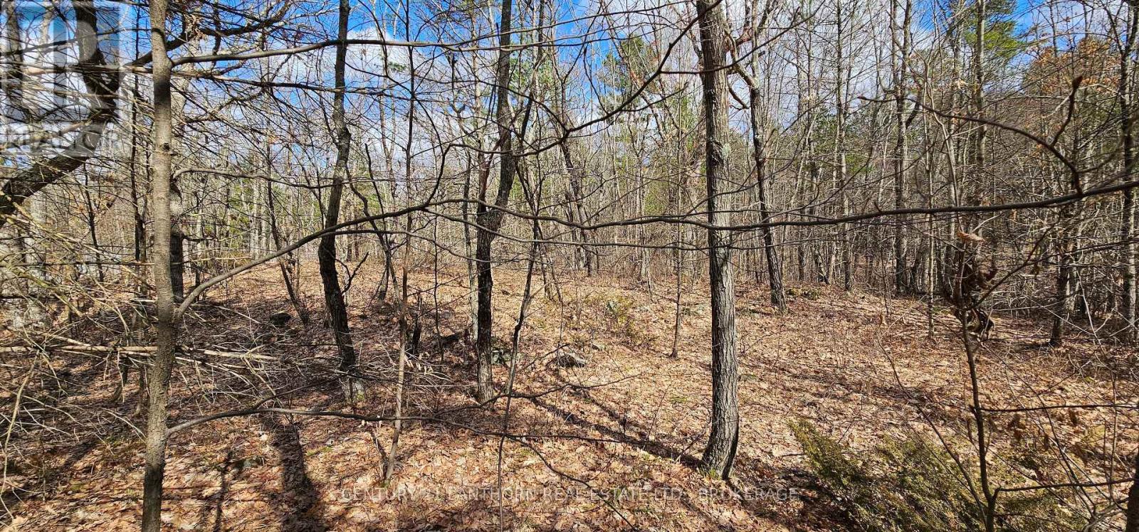 2 Gull Creek Road, Stone Mills, Ontario  K0K 3G0 - Photo 3 - X13728132