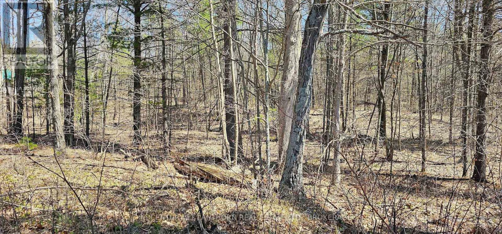 2 Gull Creek Road, Stone Mills, Ontario  K0K 3G0 - Photo 6 - X13728132