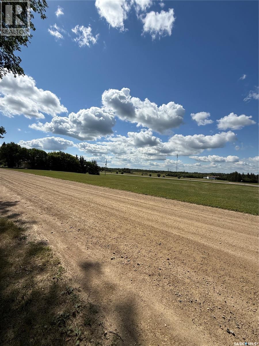 358 First Street Nw, Preeceville, Saskatchewan  S0A 3B0 - Photo 20 - SK047304