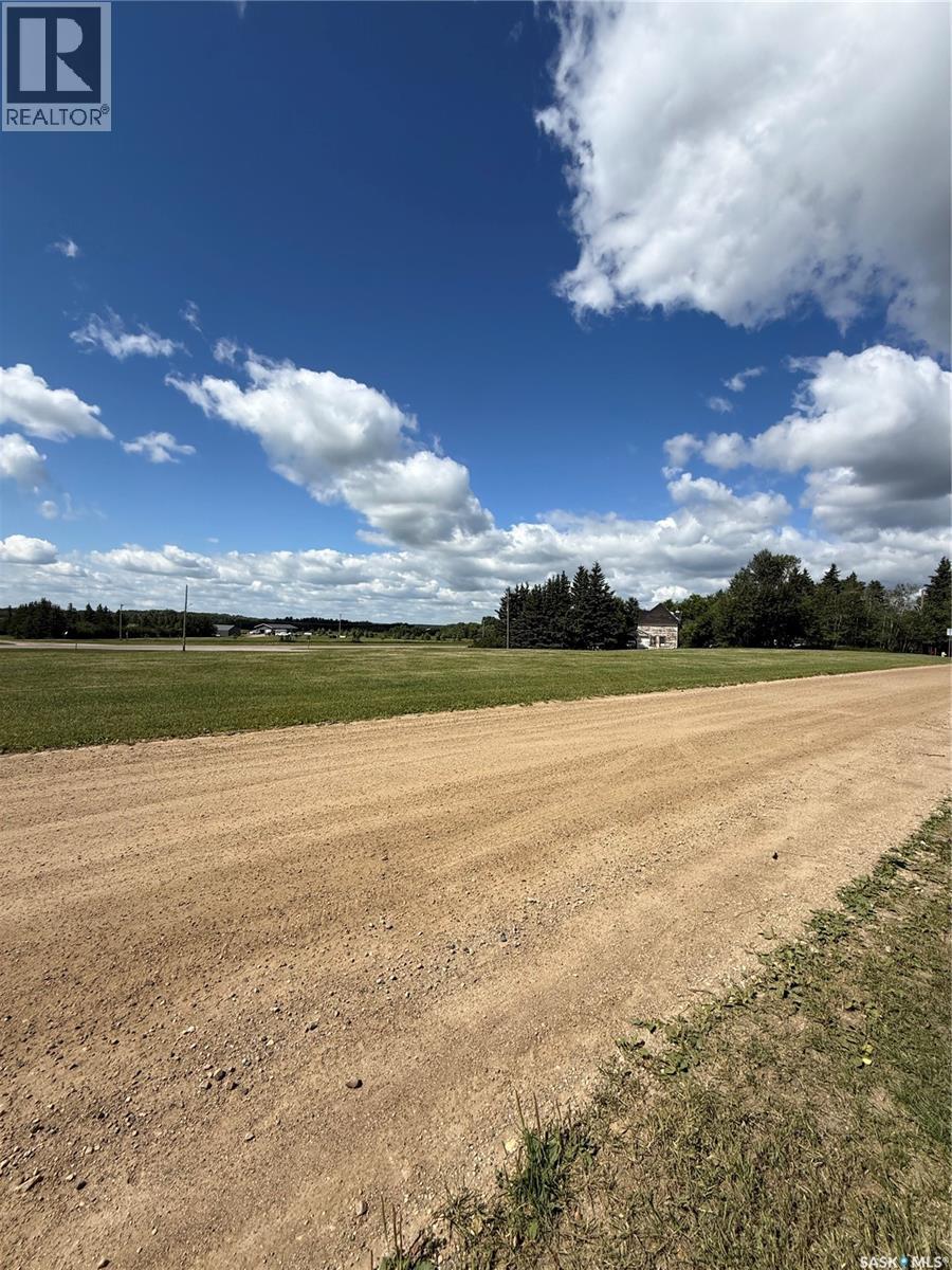 358 First Street Nw, Preeceville, Saskatchewan  S0A 3B0 - Photo 21 - SK047304