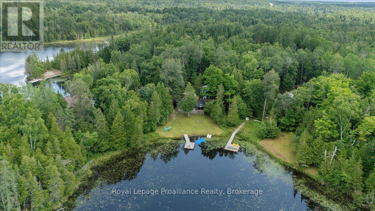 17 Halcomb Lane, Limerick, Ontario  K0L 1P0 - Photo 6 - X13736820