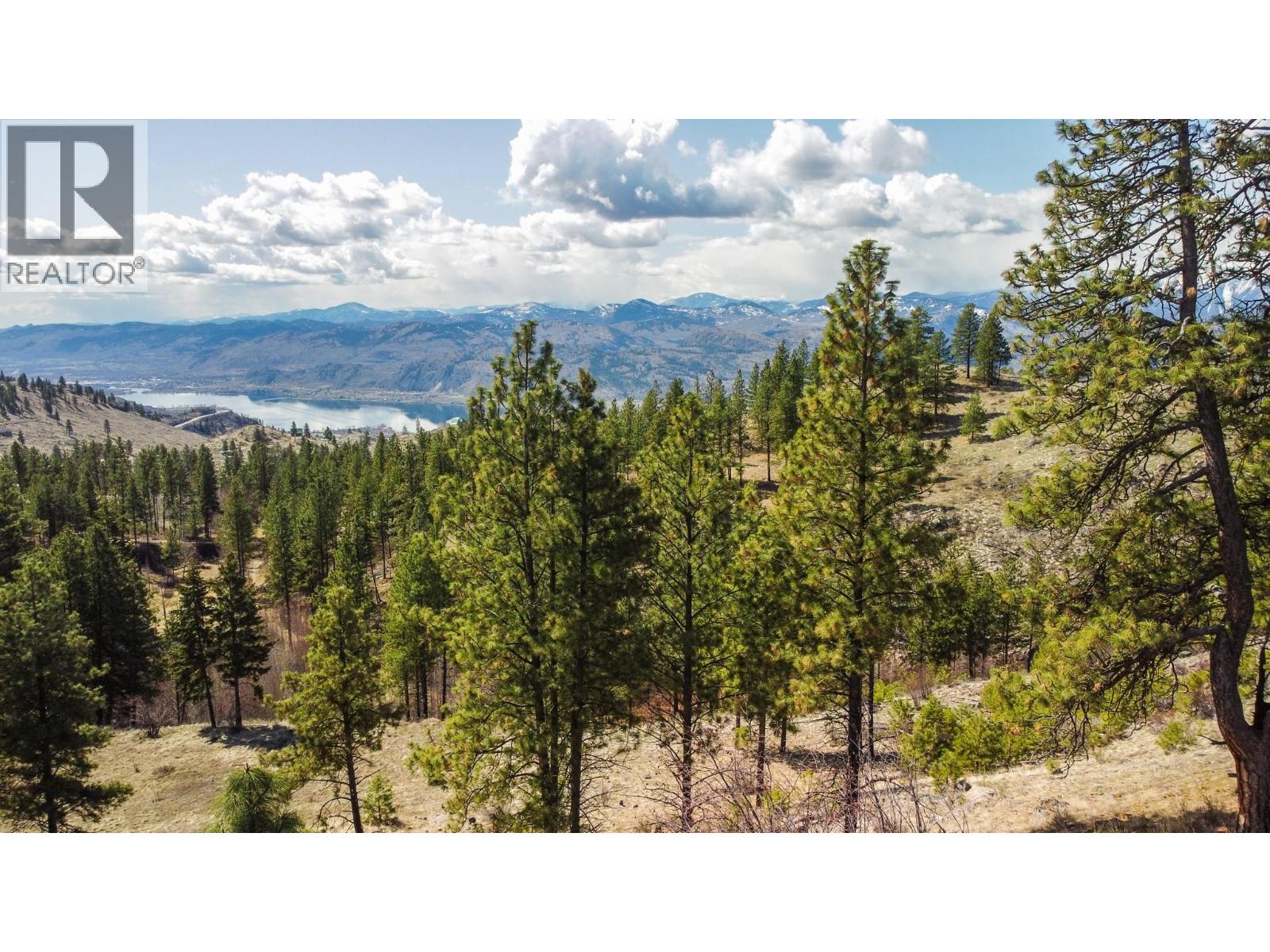 250 Longjoe Road, Osoyoos, British Columbia  V0H 1V6 - Photo 50 - 10350870