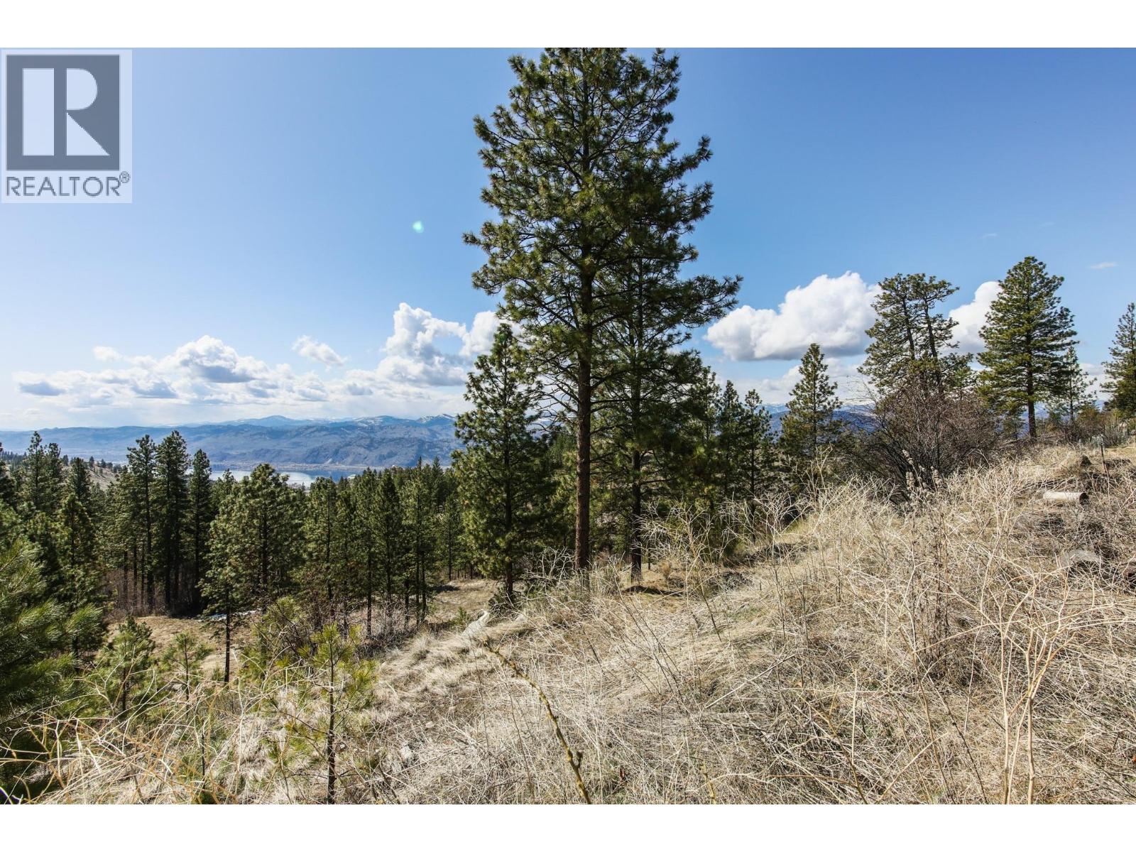 250 Longjoe Road, Osoyoos, British Columbia  V0H 1V6 - Photo 12 - 10350870