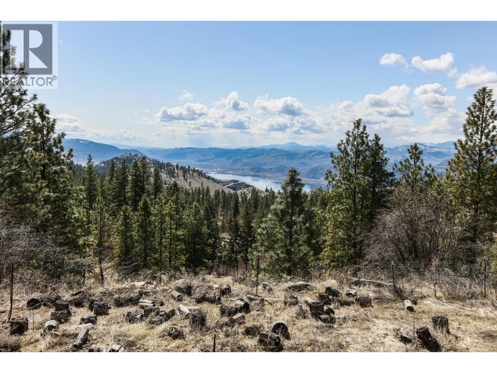 250 Longjoe Road, Osoyoos, British Columbia  V0H 1V6 - Photo 25 - 10350870