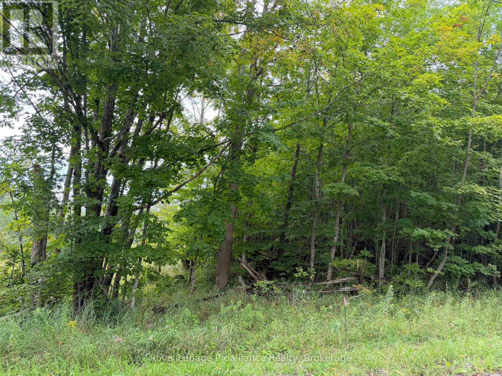 0 Twin Sisters Lake Road, Marmora And Lake, Ontario  K0K 2M0 - Photo 16 - X13735292