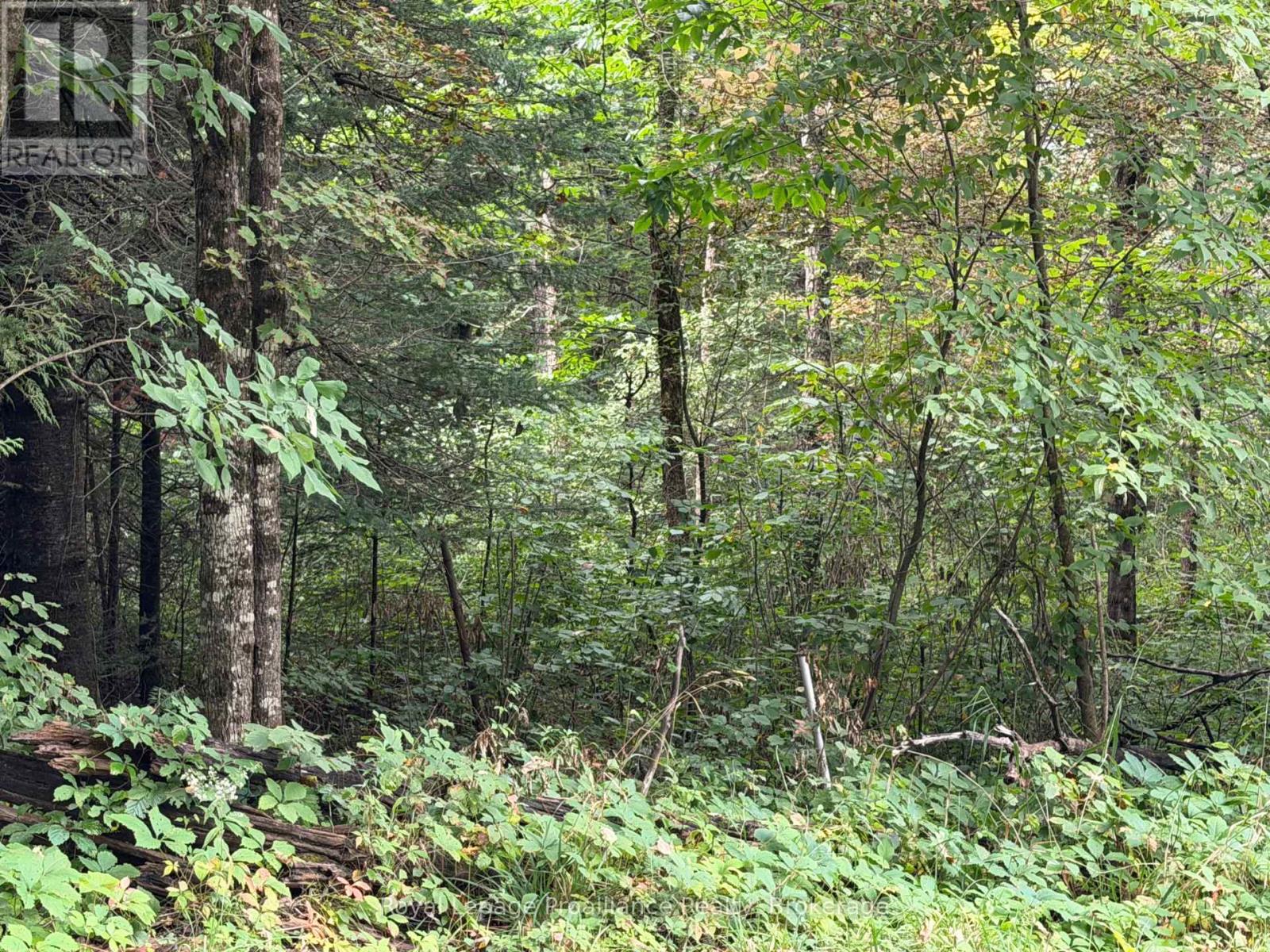 0 Twin Sisters Lake Road, Marmora And Lake, Ontario  K0K 2M0 - Photo 11 - X13735292