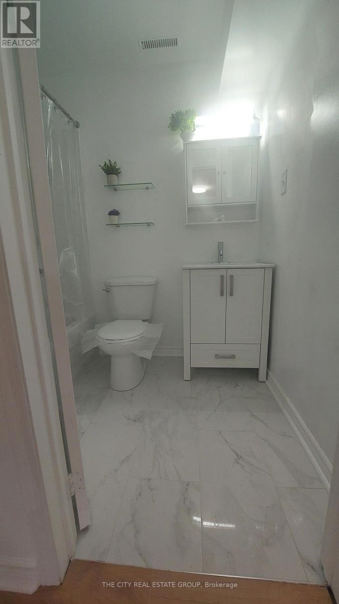 Bsmt - 22 Pineway Avenue, Georgina, Ontario  L4P 3V9 - Photo 23 - N13737244