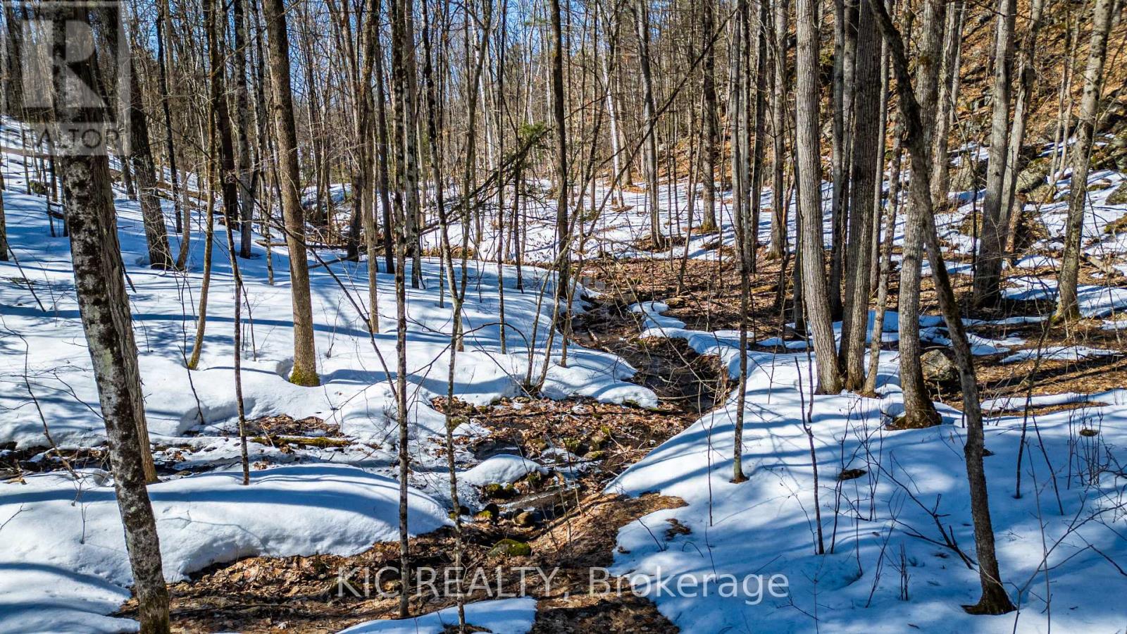0 Hinchinbrooke Rd N Road, Frontenac, Ontario  K0H 2W0 - Photo 16 - X12100383