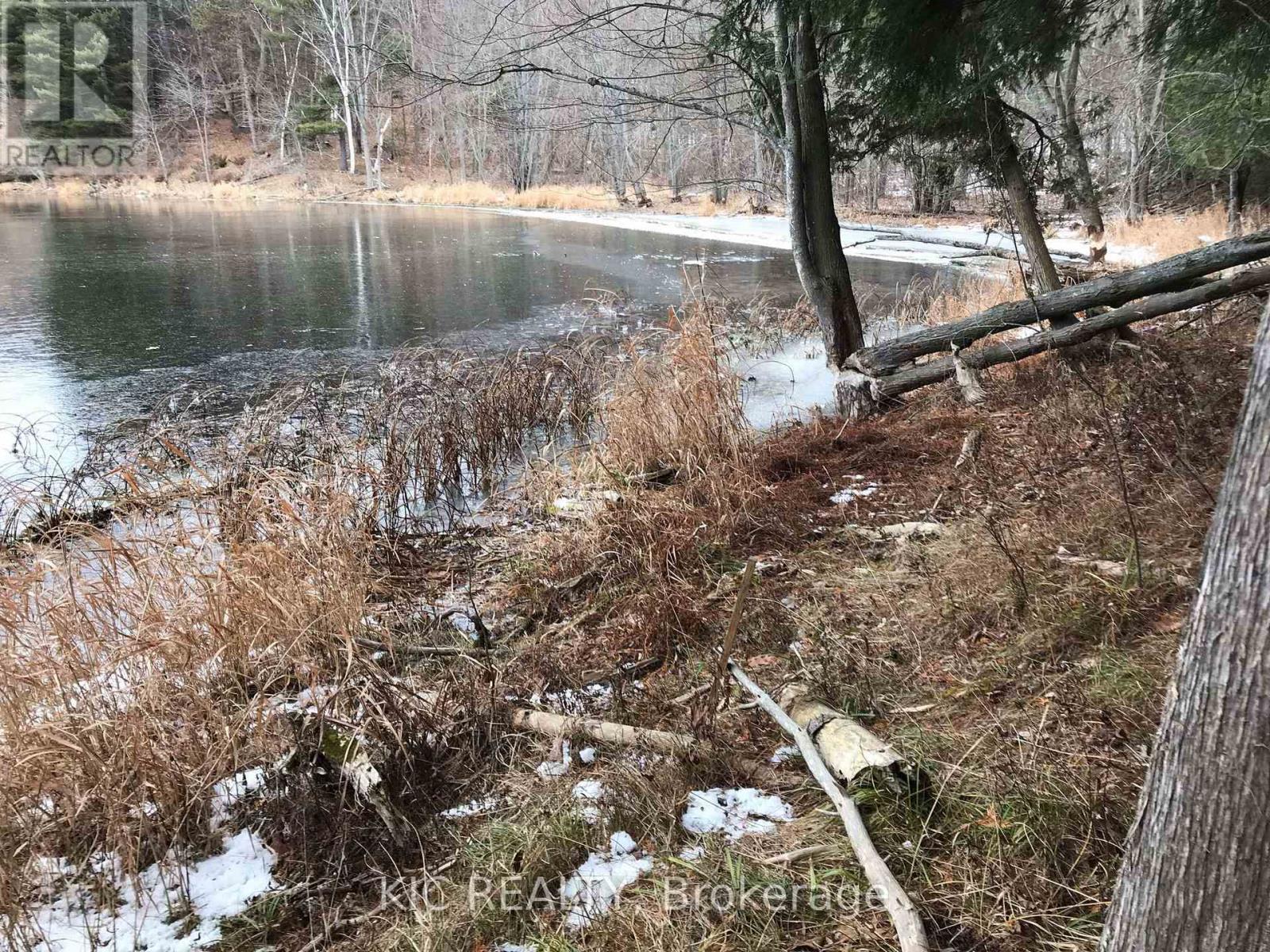 0 Hinchinbrooke Rd N Road, Frontenac, Ontario  K0H 2W0 - Photo 12 - X12100383