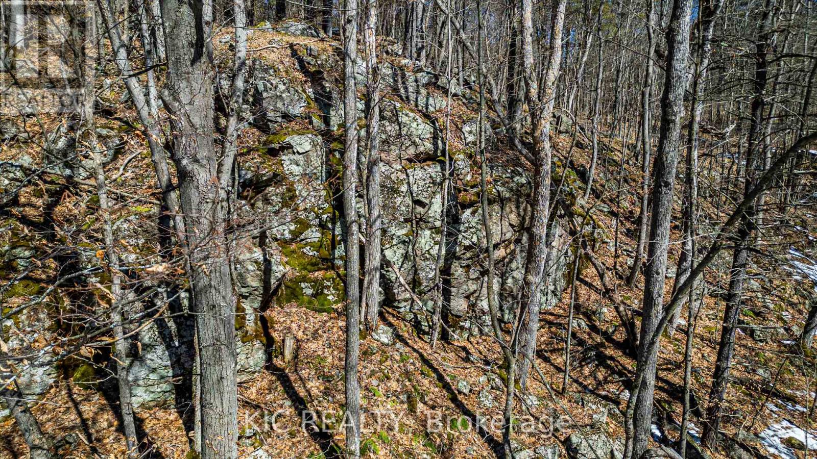 0 Hinchinbrooke Rd N Road, Frontenac, Ontario  K0H 2W0 - Photo 17 - X12100383