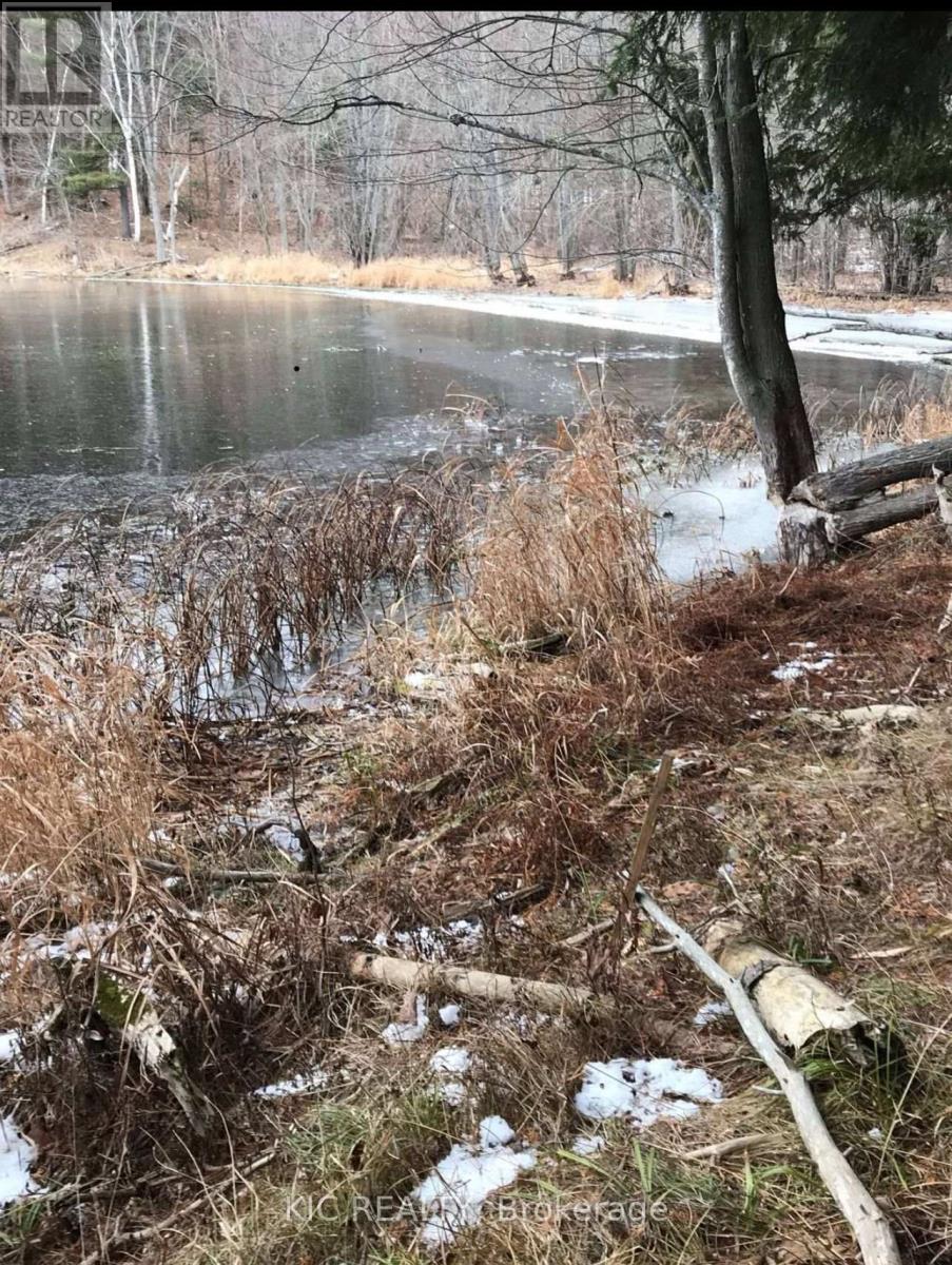0 Hinchinbrooke Rd N Road, Frontenac, Ontario  K0H 2W0 - Photo 15 - X12100383