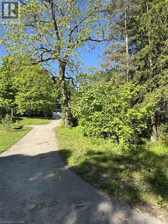 34 Mcdougall Road, Waterloo, Ontario  N2L 2W5 - Photo 6 - 40830471
