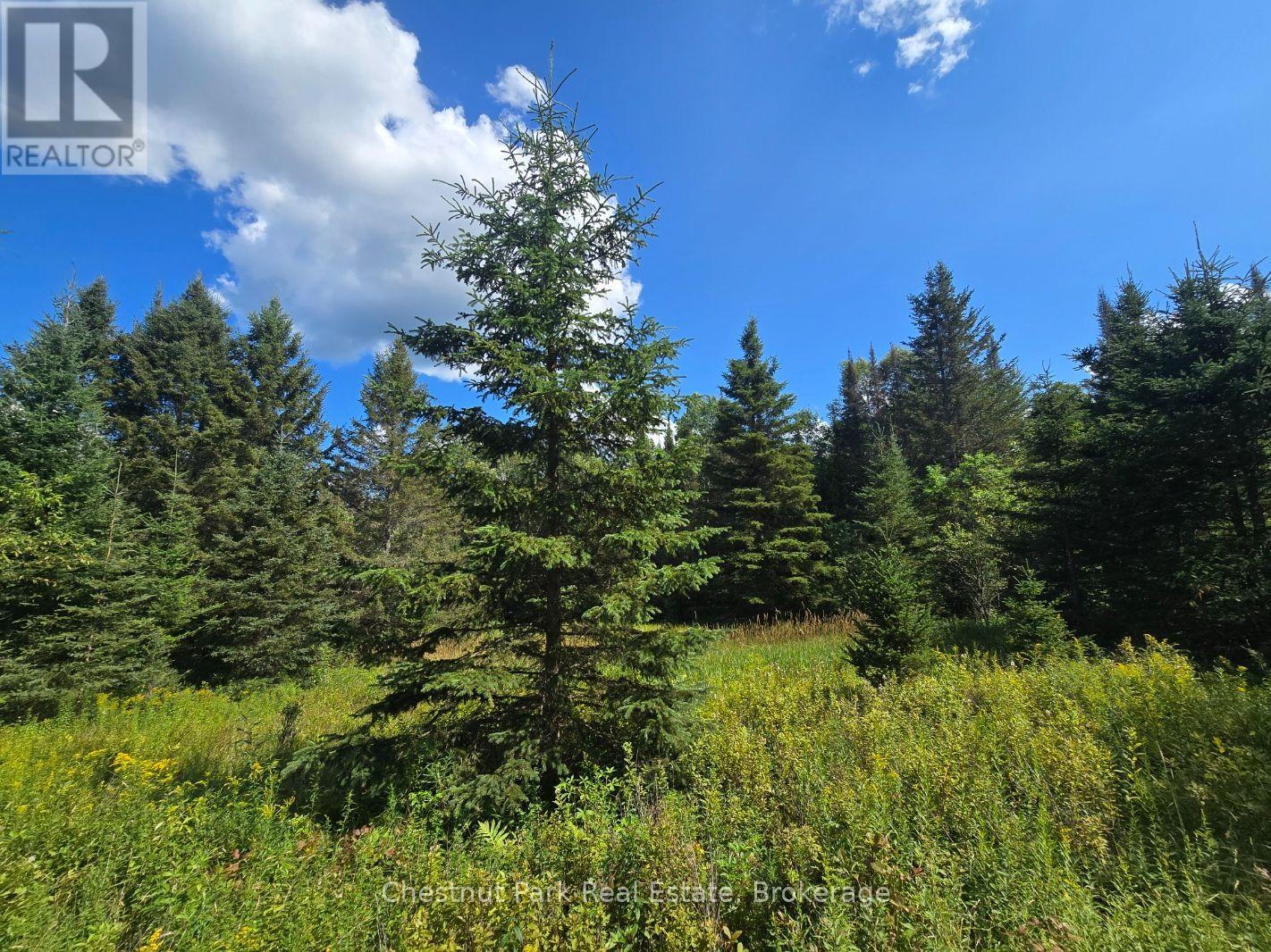 00 Gibbons Road, Strong, Ontario  P0A 1Z0 - Photo 10 - X13737482