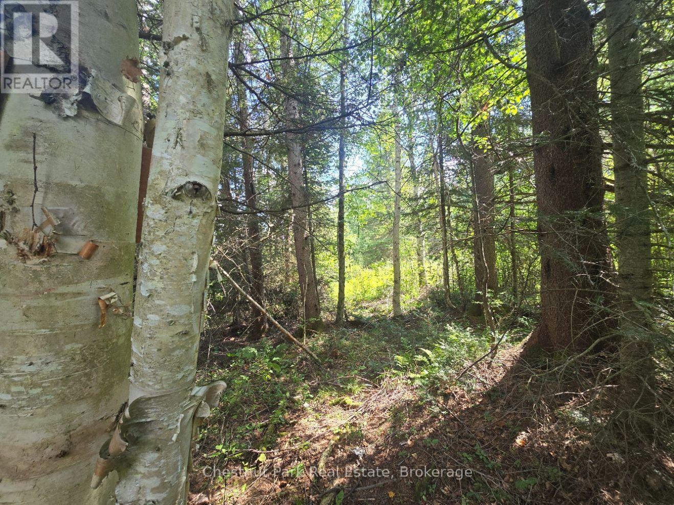 00 Gibbons Road, Strong, Ontario  P0A 1Z0 - Photo 11 - X13737482