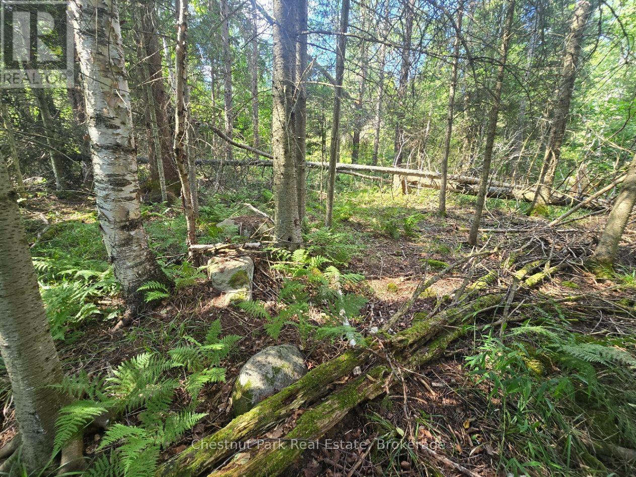 00 Gibbons Road, Strong, Ontario  P0A 1Z0 - Photo 12 - X13737482