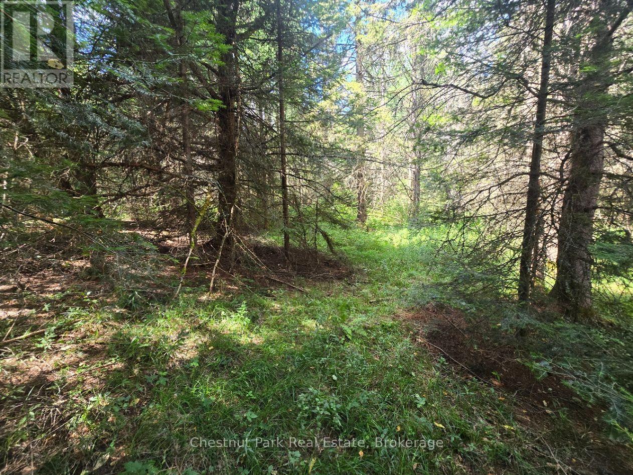 00 Gibbons Road, Strong, Ontario  P0A 1Z0 - Photo 13 - X13737482