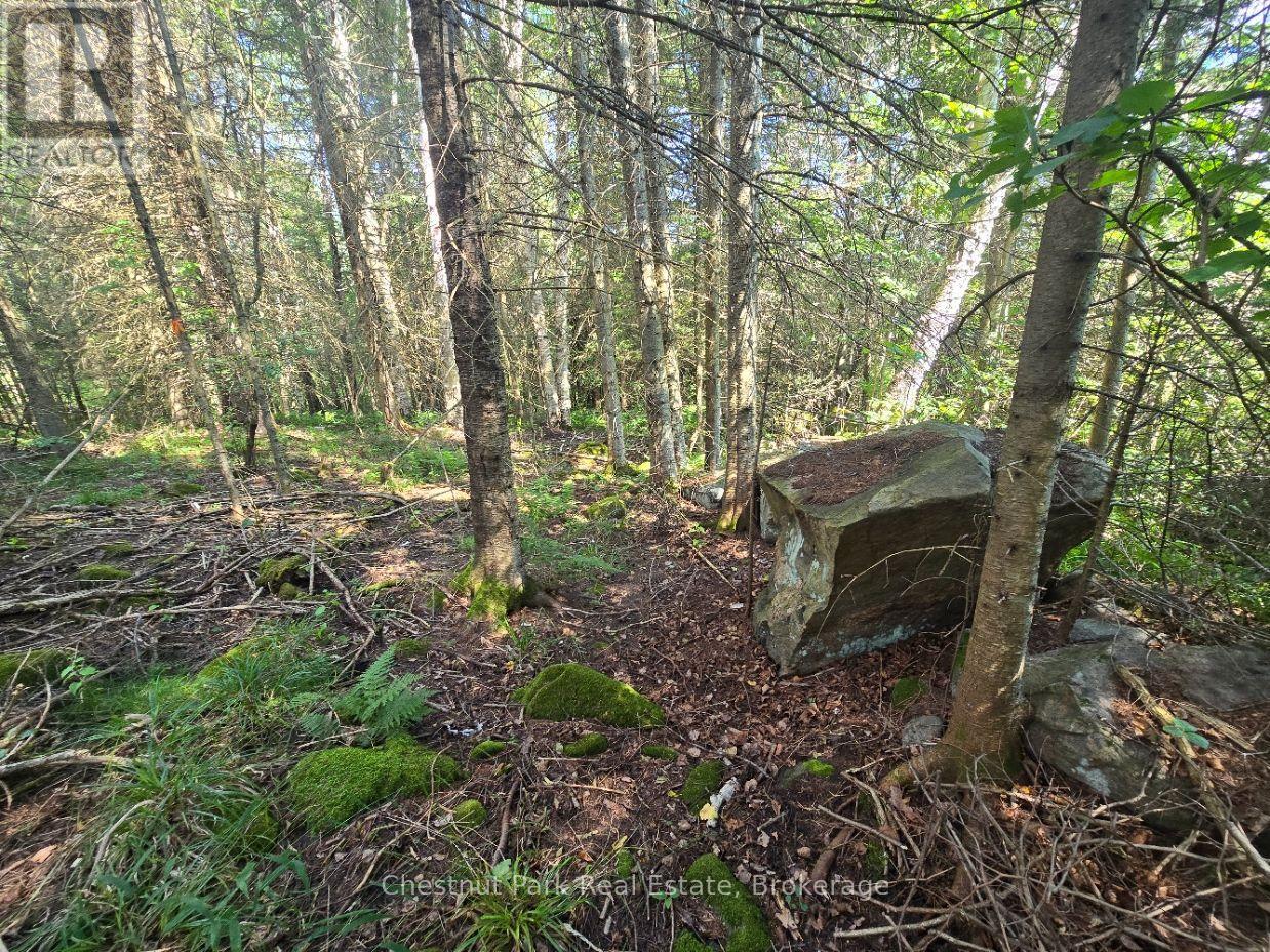 00 Gibbons Road, Strong, Ontario  P0A 1Z0 - Photo 14 - X13737482