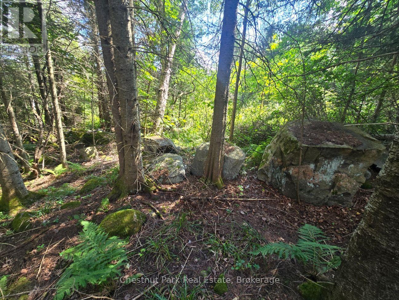 00 Gibbons Road, Strong, Ontario  P0A 1Z0 - Photo 15 - X13737482