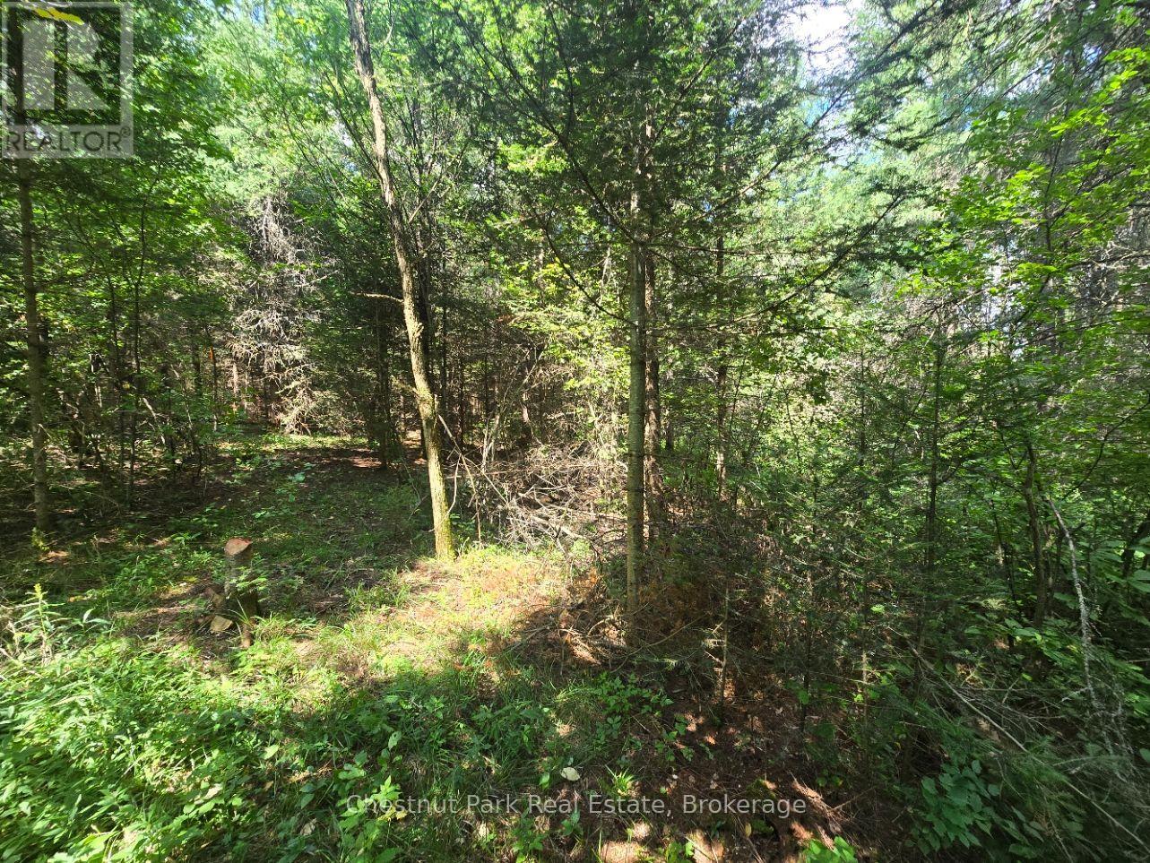 00 Gibbons Road, Strong, Ontario  P0A 1Z0 - Photo 16 - X13737482