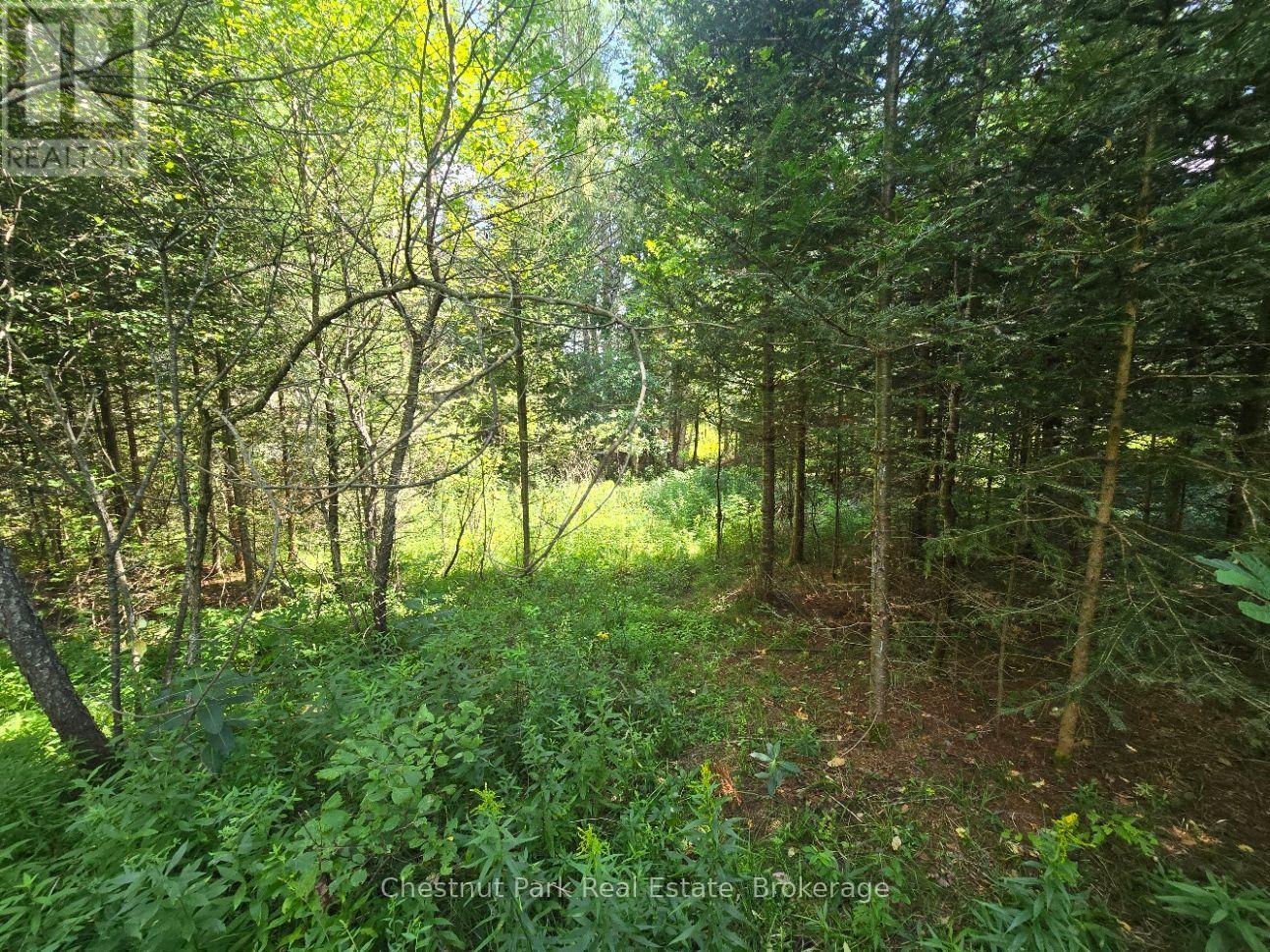 00 Gibbons Road, Strong, Ontario  P0A 1Z0 - Photo 17 - X13737482