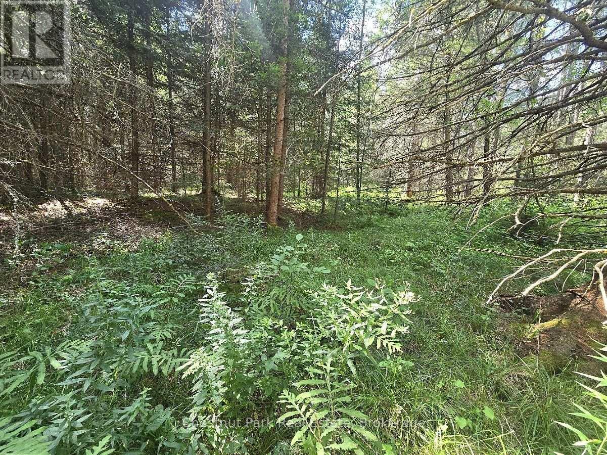 00 Gibbons Road, Strong, Ontario  P0A 1Z0 - Photo 18 - X13737482