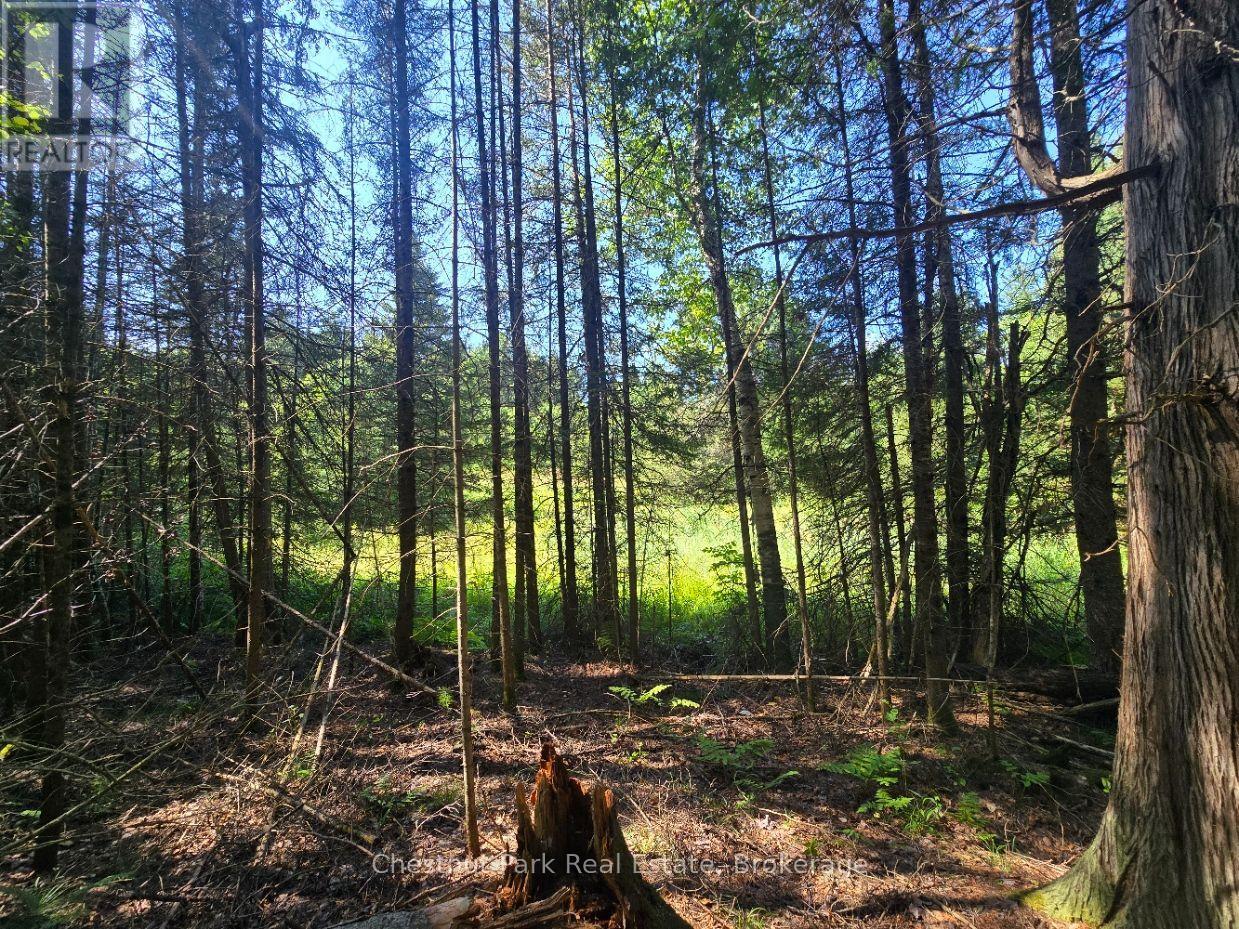 00 Gibbons Road, Strong, Ontario  P0A 1Z0 - Photo 19 - X13737482