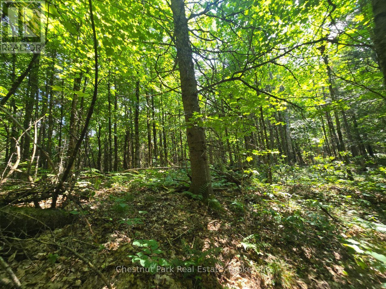 00 Gibbons Road, Strong, Ontario  P0A 1Z0 - Photo 20 - X13737482