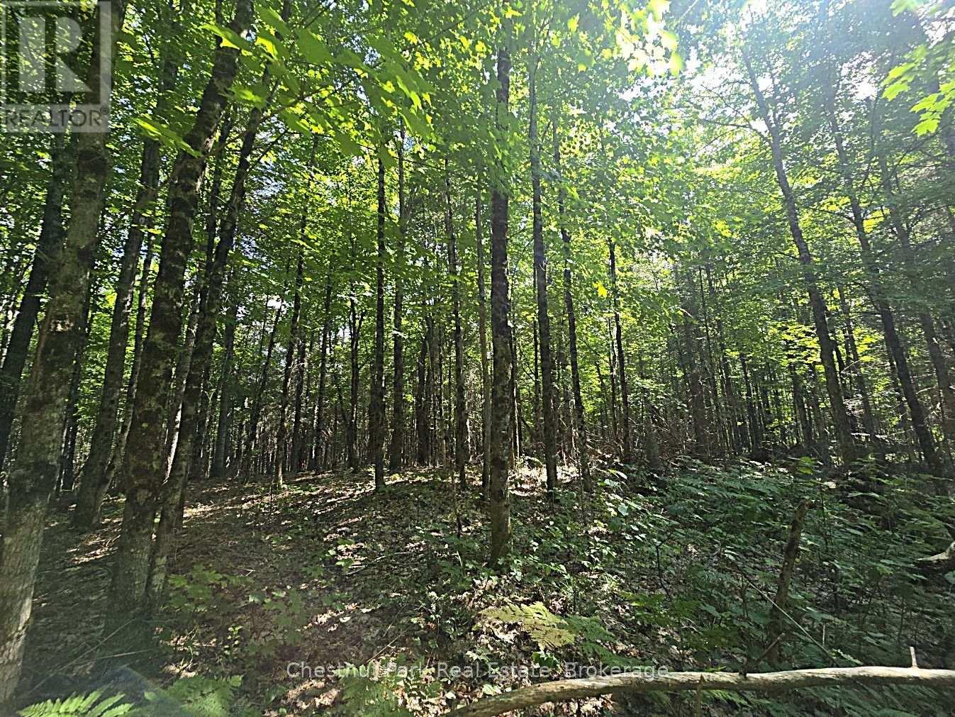 00 Gibbons Road, Strong, Ontario  P0A 1Z0 - Photo 21 - X13737482