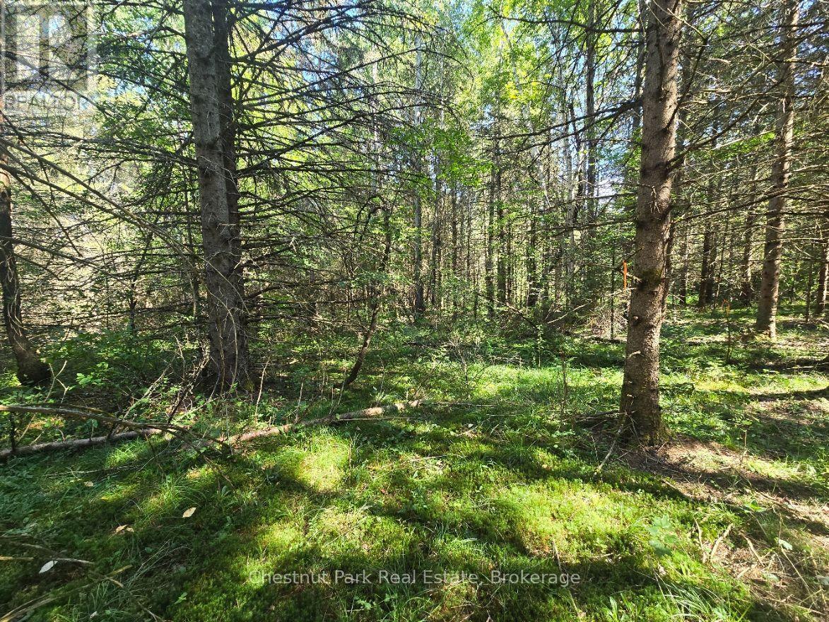 00 Gibbons Road, Strong, Ontario  P0A 1Z0 - Photo 22 - X13737482