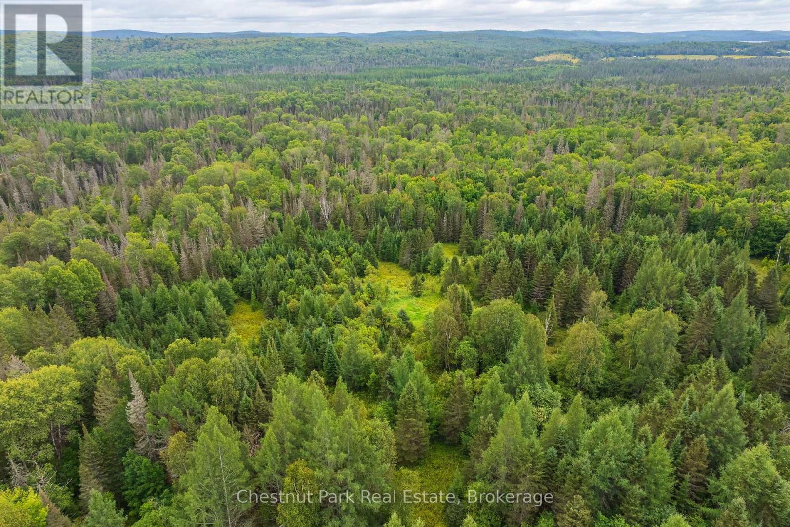 00 Gibbons Road, Strong, Ontario  P0A 1Z0 - Photo 33 - X13737482