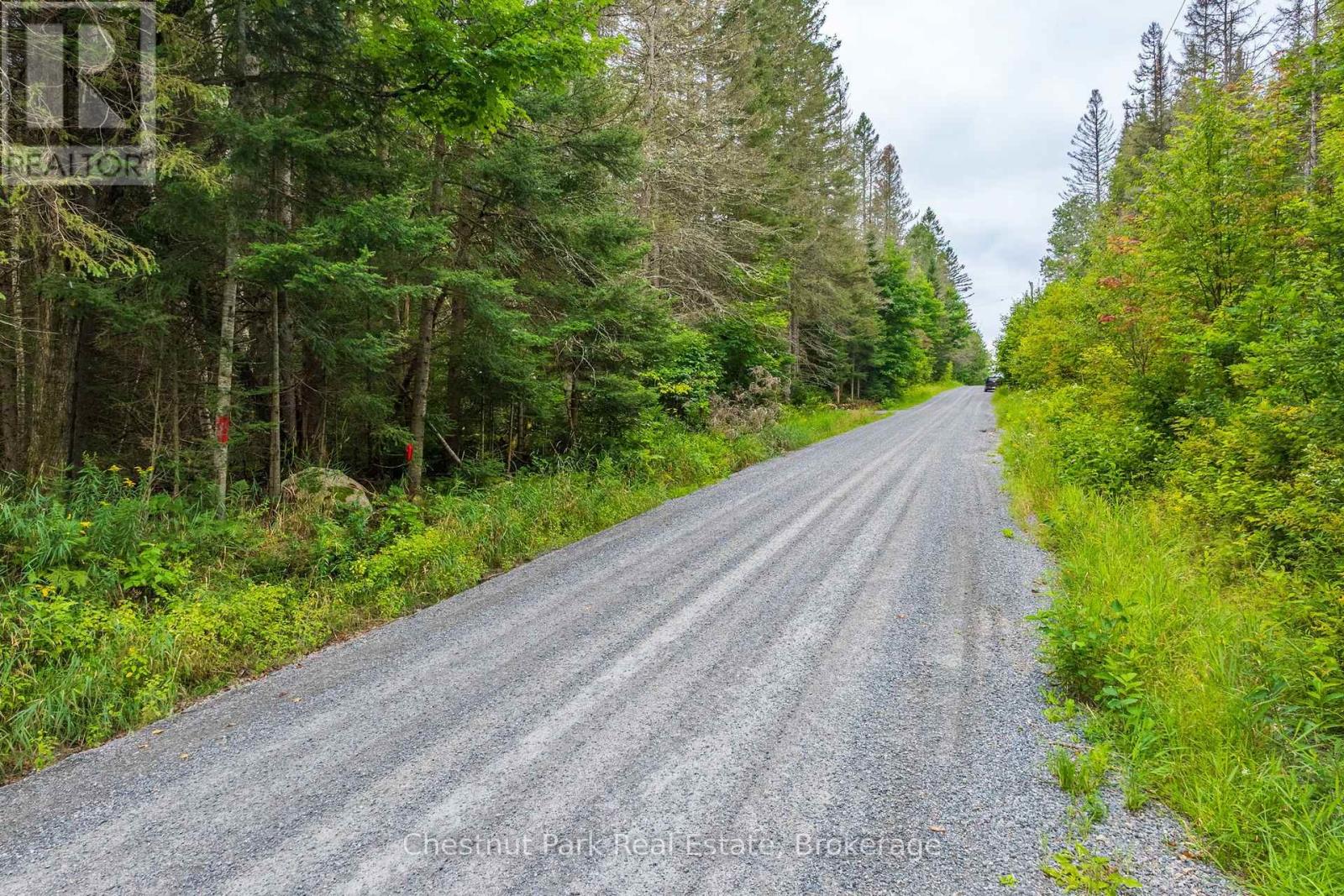 00 Gibbons Road, Strong, Ontario  P0A 1Z0 - Photo 39 - X13737482