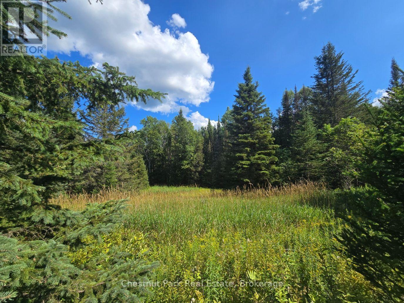 00 Gibbons Road, Strong, Ontario  P0A 1Z0 - Photo 5 - X13737482
