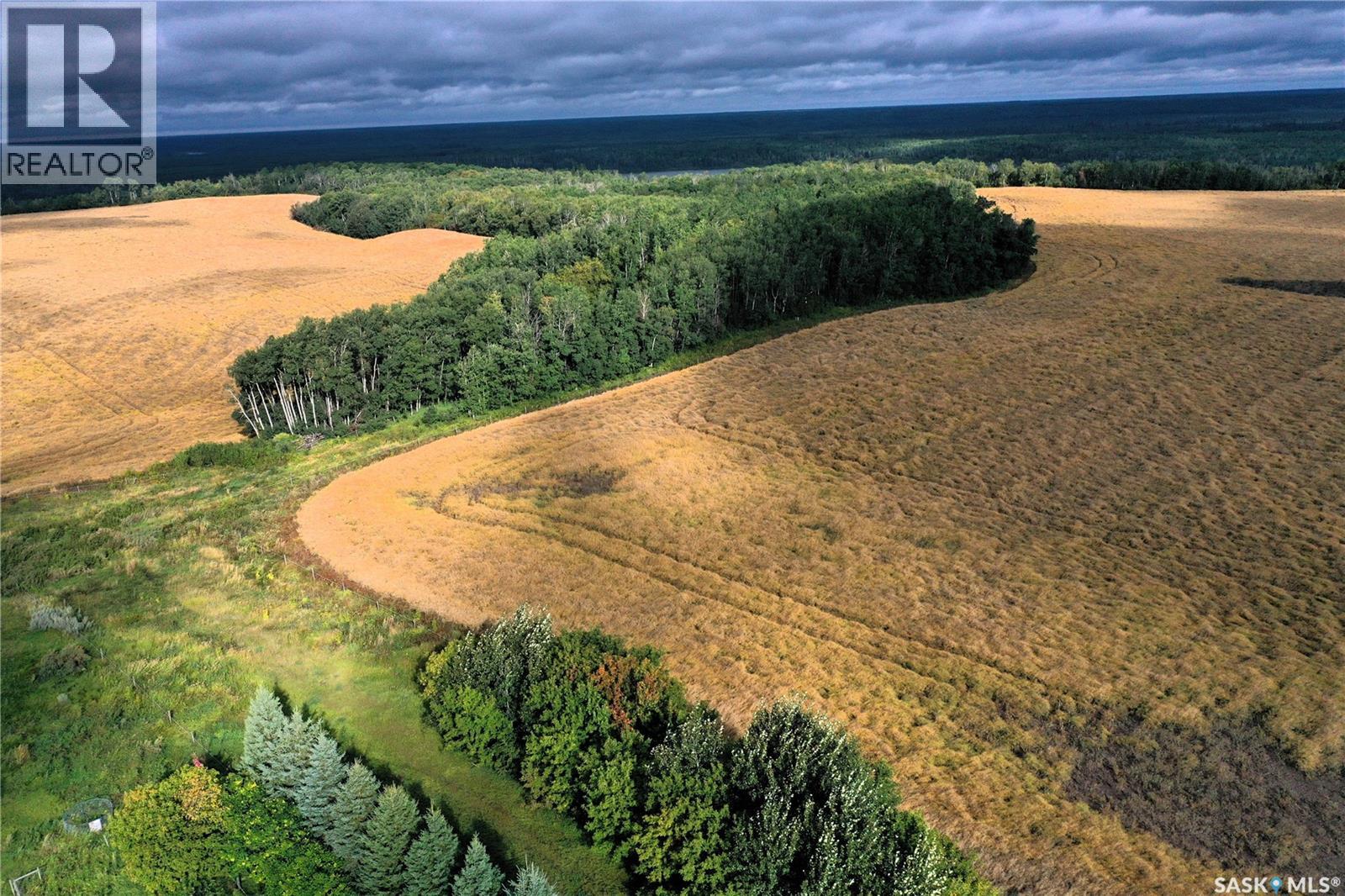 Grandfield Acreage, Nipawin Rm No. 487, Saskatchewan  S0E 0W0 - Photo 5 - SK047313