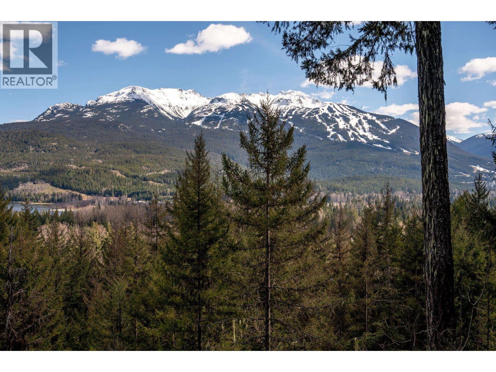8365 Mountain View Drive, Whistler, British Columbia  V8E 0G3 - Photo 6 - R3059590