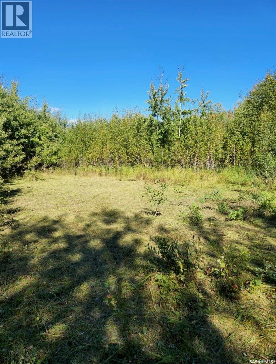 Lot 4 Poplar Grove Estates, Meadow Lake Rm No.588, Saskatchewan  S9X 1Y7 - Photo 9 - SK031728