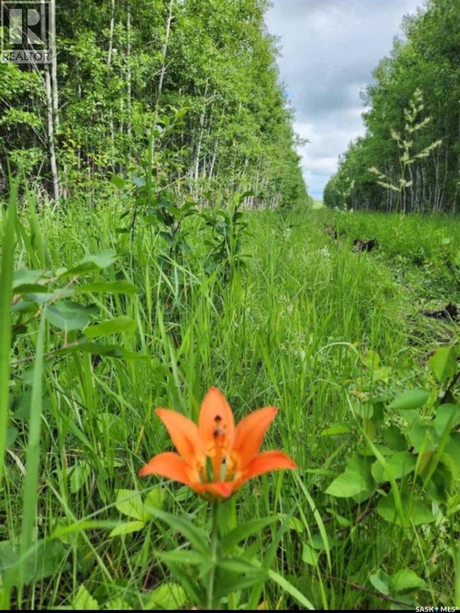 Lot 4 Poplar Grove Estates, Meadow Lake Rm No.588, Saskatchewan  S9X 1Y7 - Photo 10 - SK031728