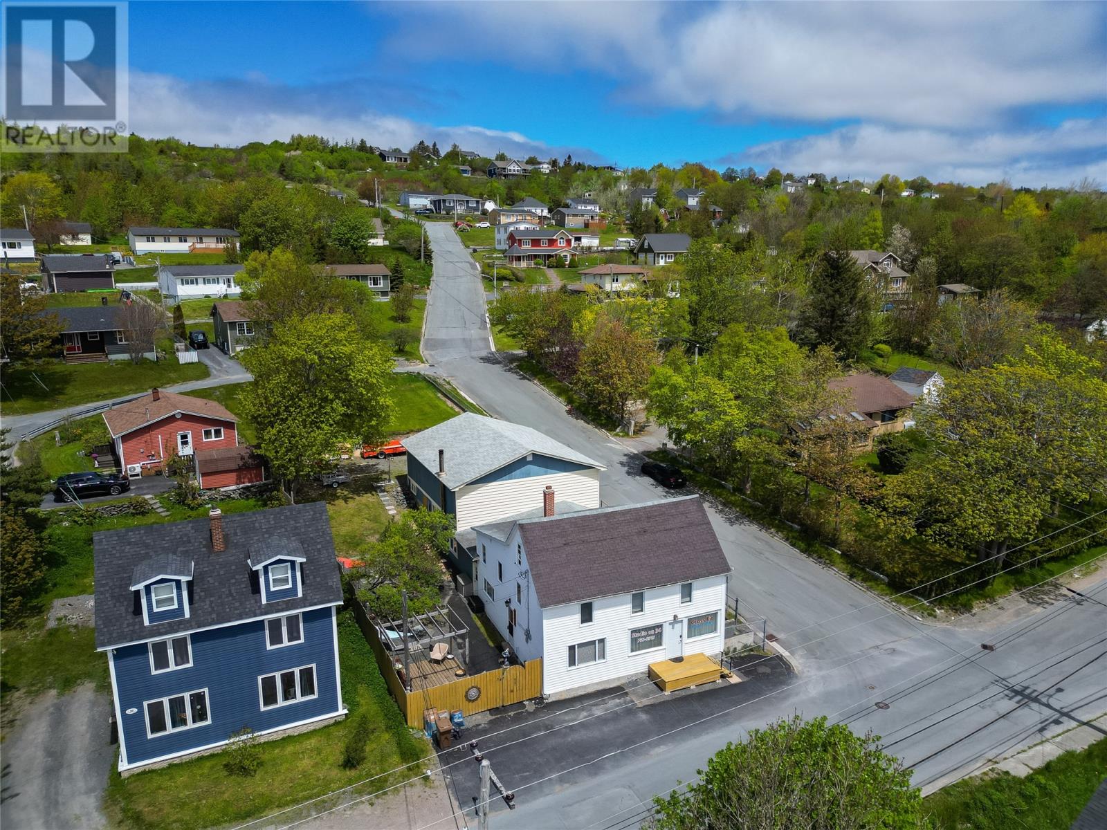 34 CROWDY Street, Carbonear — photo 8