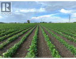 0 WHITE ROAD, Wallaceburg, Ontario