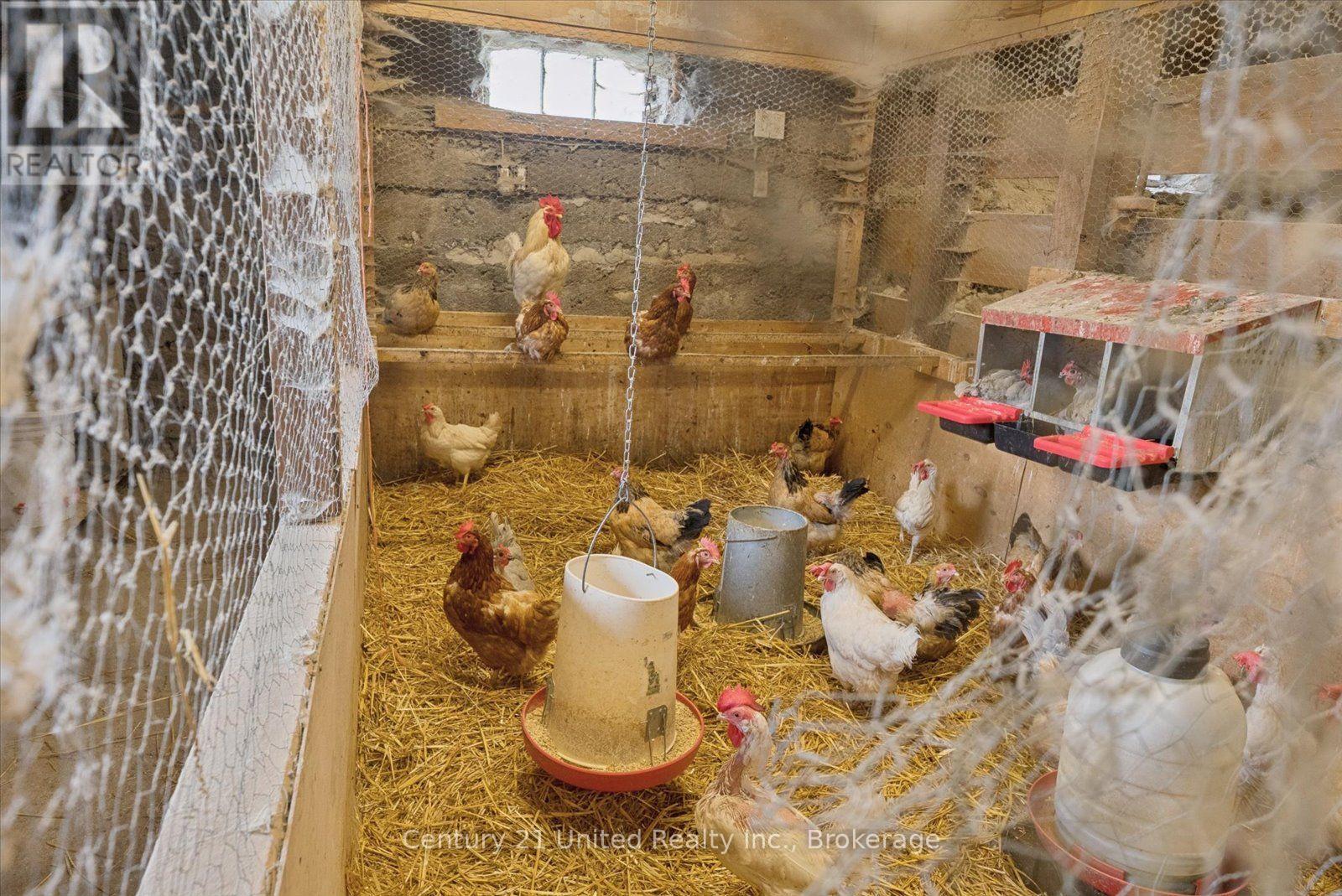 15710 County Rd 29, Brighton, Ontario  K0L 1L0 - Photo 41 - X13737186