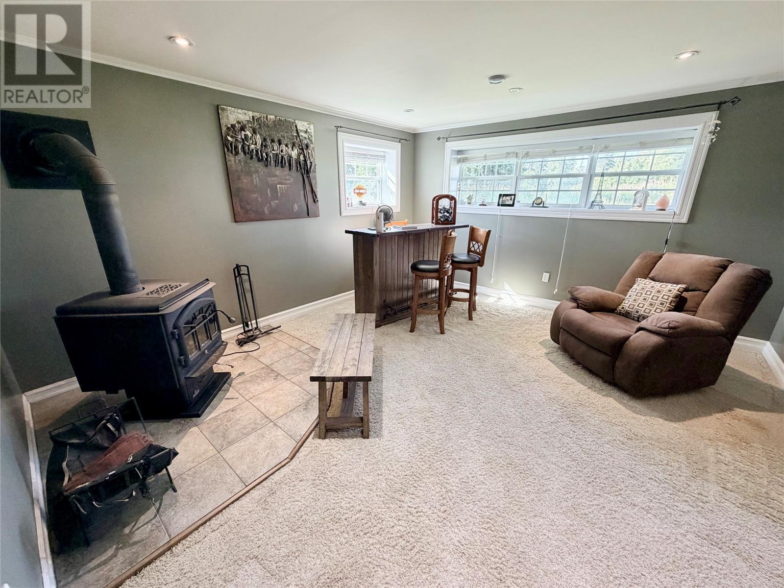 29 Meadow Lane, Deer Lake — photo 25