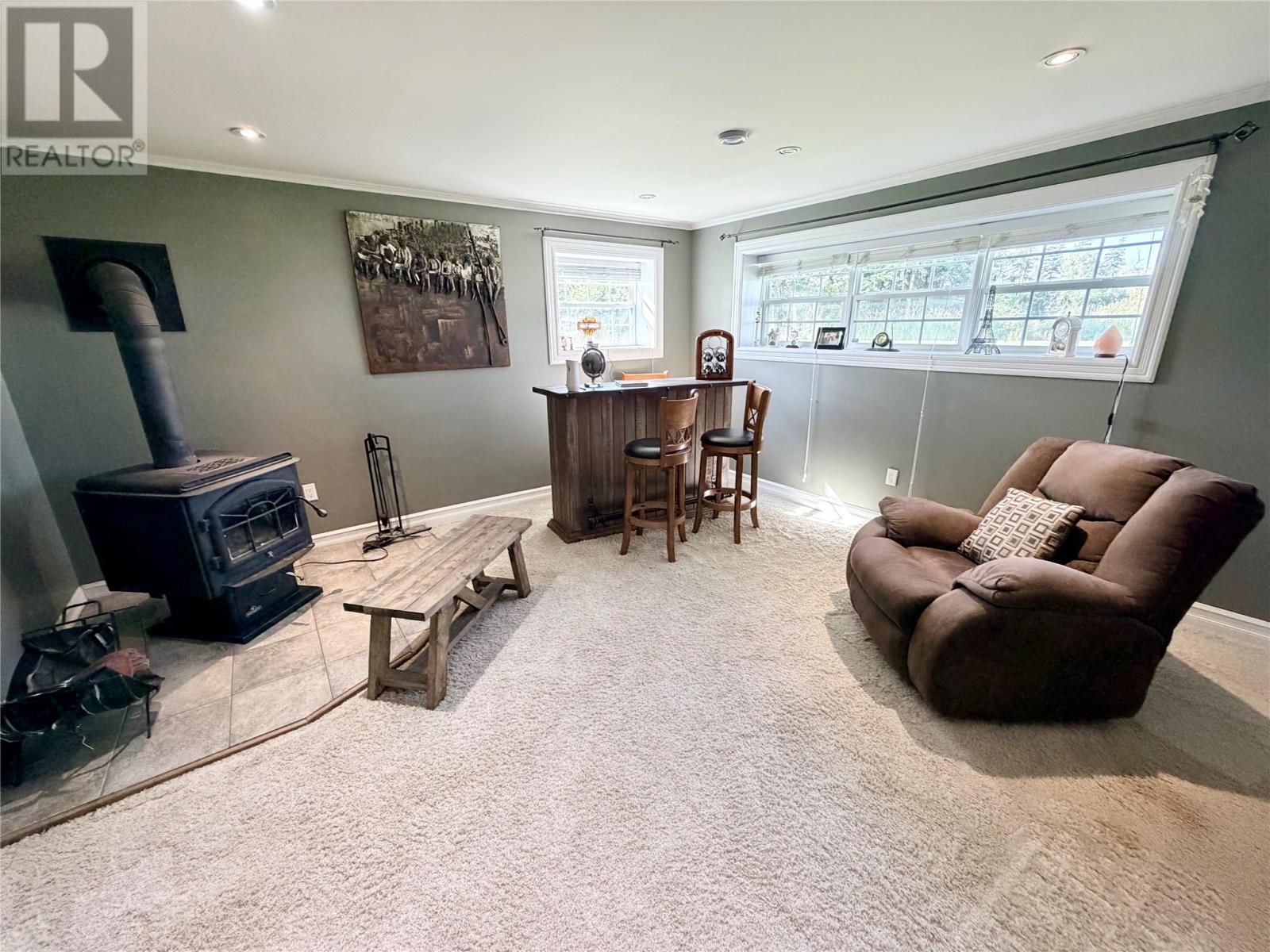 29 Meadow Lane, Deer Lake — photo 26