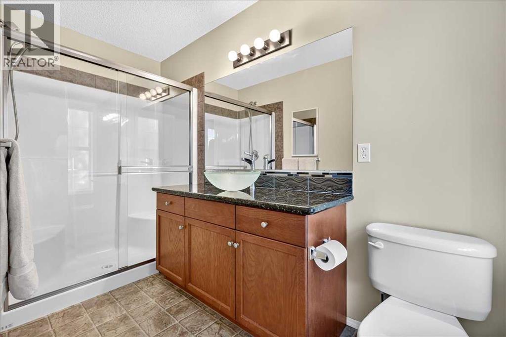 23 Copperfield Rise SE, Calgary, Alberta  T2Z 4R6 - Photo 24 - A2339101