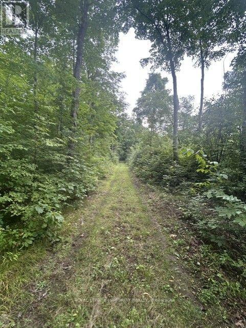 0 Armstrong Road, Merrickville-Wolford, Ontario K0G 1N0 - Photo 17 - X13737958