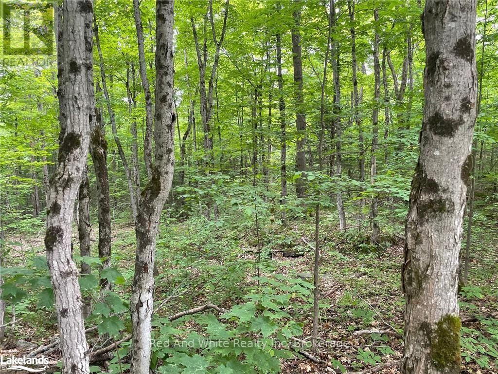 23 Ahmic Lake Road, Magnetawan, Ontario  P0A 1A0 - Photo 2 - X13737846