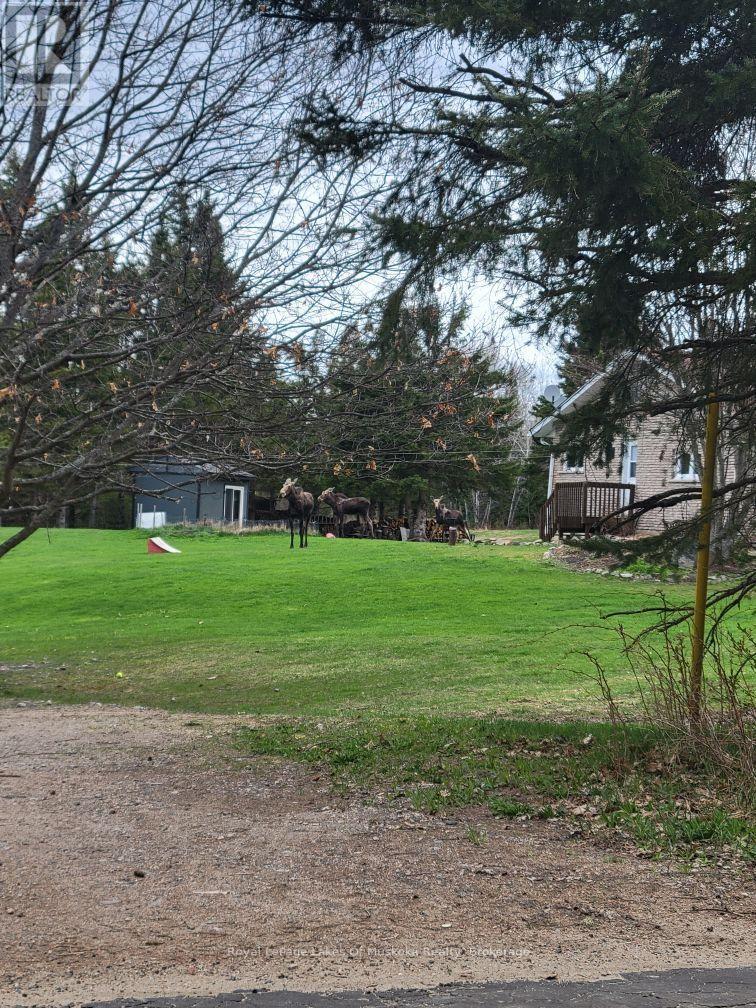 341 Woods Road, Armour, Ontario  P0A 1C0 - Photo 49 - X13737974