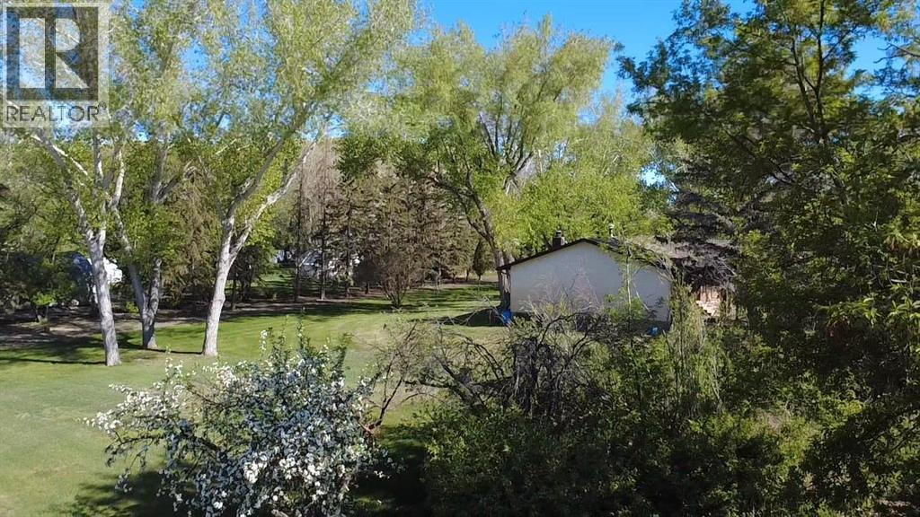 31 Larch Avenue, Drumheller, Alberta  T0J 0Y1 - Photo 5 - A2313523