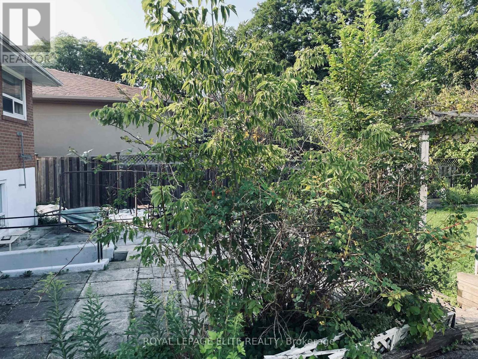13 Joseph Street, Mississauga, Ontario  L5M 1N8 - Photo 4 - W13737884