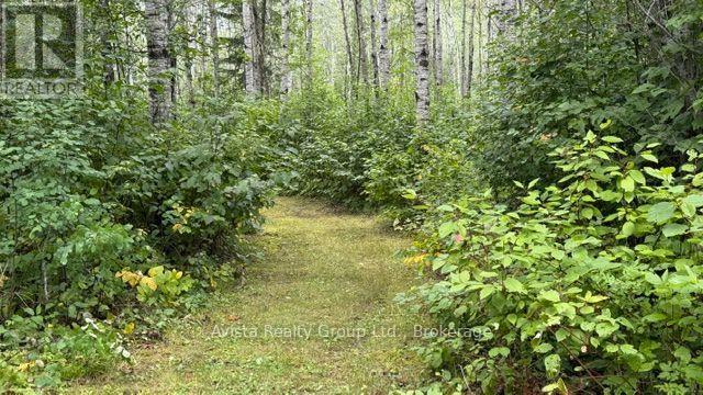 232 Nicholetts Rd Road, Oliver Paipoonge, Ontario  P0T 2G0 - Photo 24 - X13738230